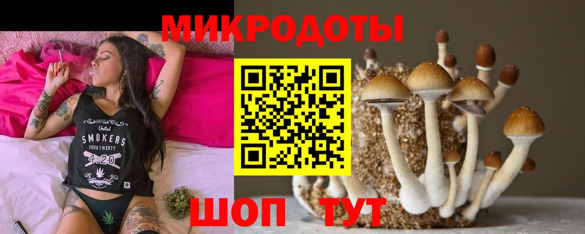 Галлюциногенные грибы мухоморы Донецк
